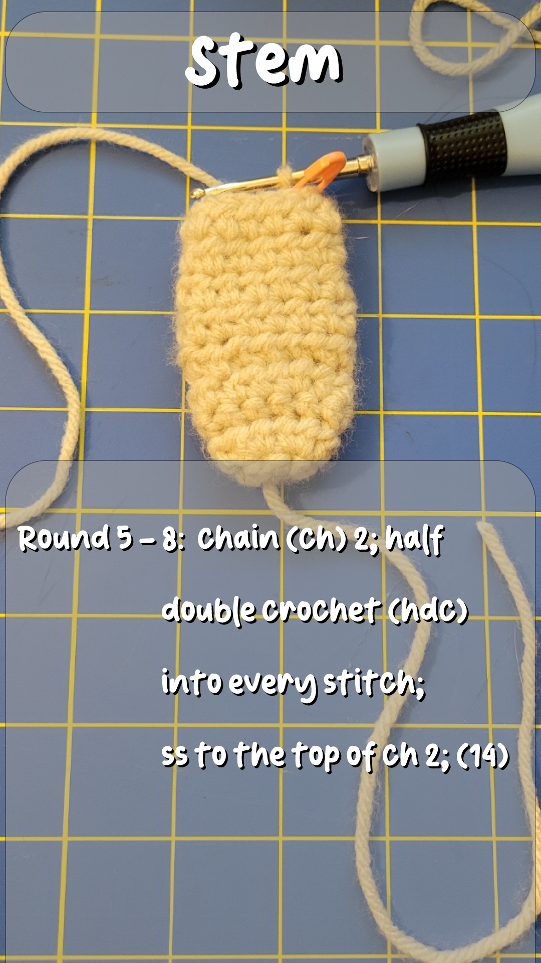 Stem Round 5-8