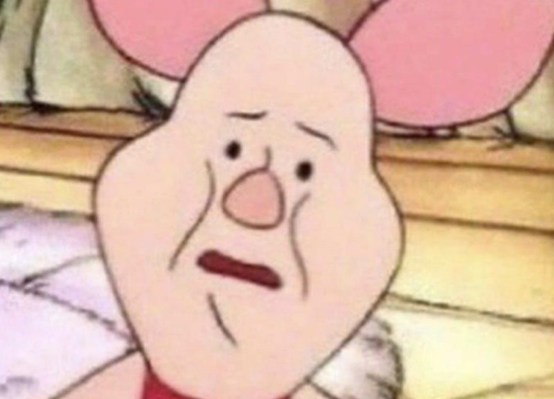 piglet looking v uncomfortable