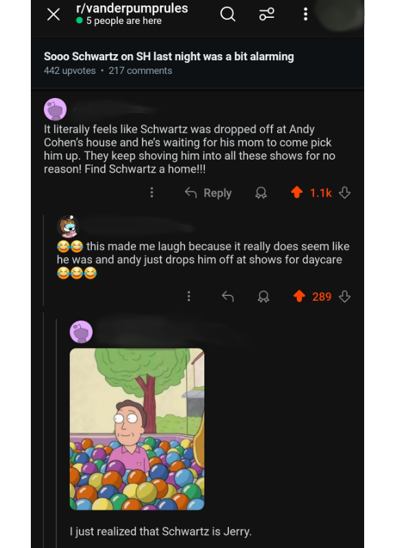 reddit screenshot where users realize Tom Schwartz from VPR is similar to Jerry from Rick and Morty